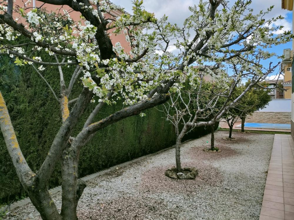  en venta casa Belicena Vega De Granada 33
