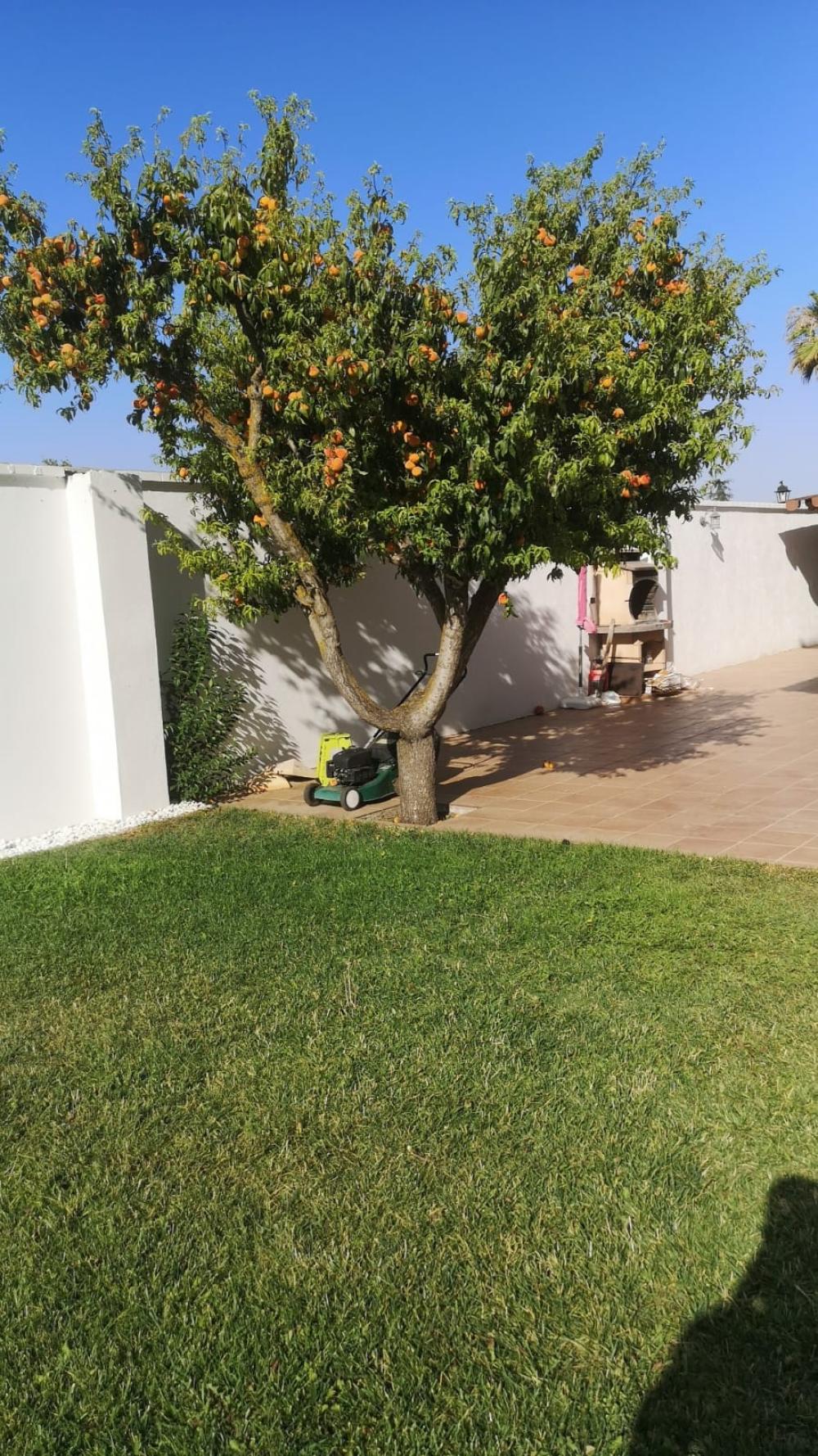  en venta casa Belicena Vega De Granada 31