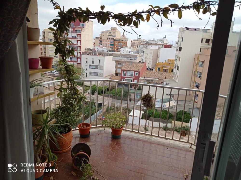  en venta apartamento Plaza De Toros Palma 1
