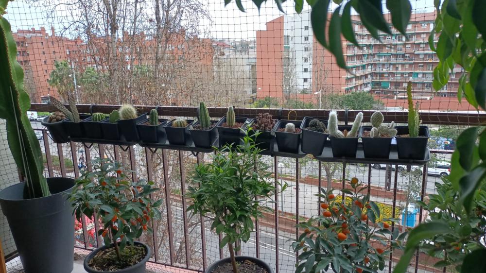  en venta apartamento Sant Martí-El Clot Barcelonès 4