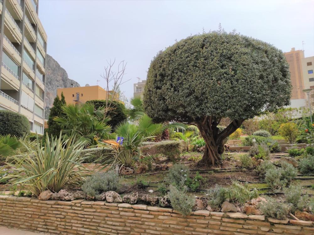  en venta apartamento Calpe Marina Alta 32