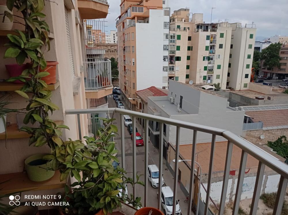  en venta apartamento Plaza De Toros Palma 3