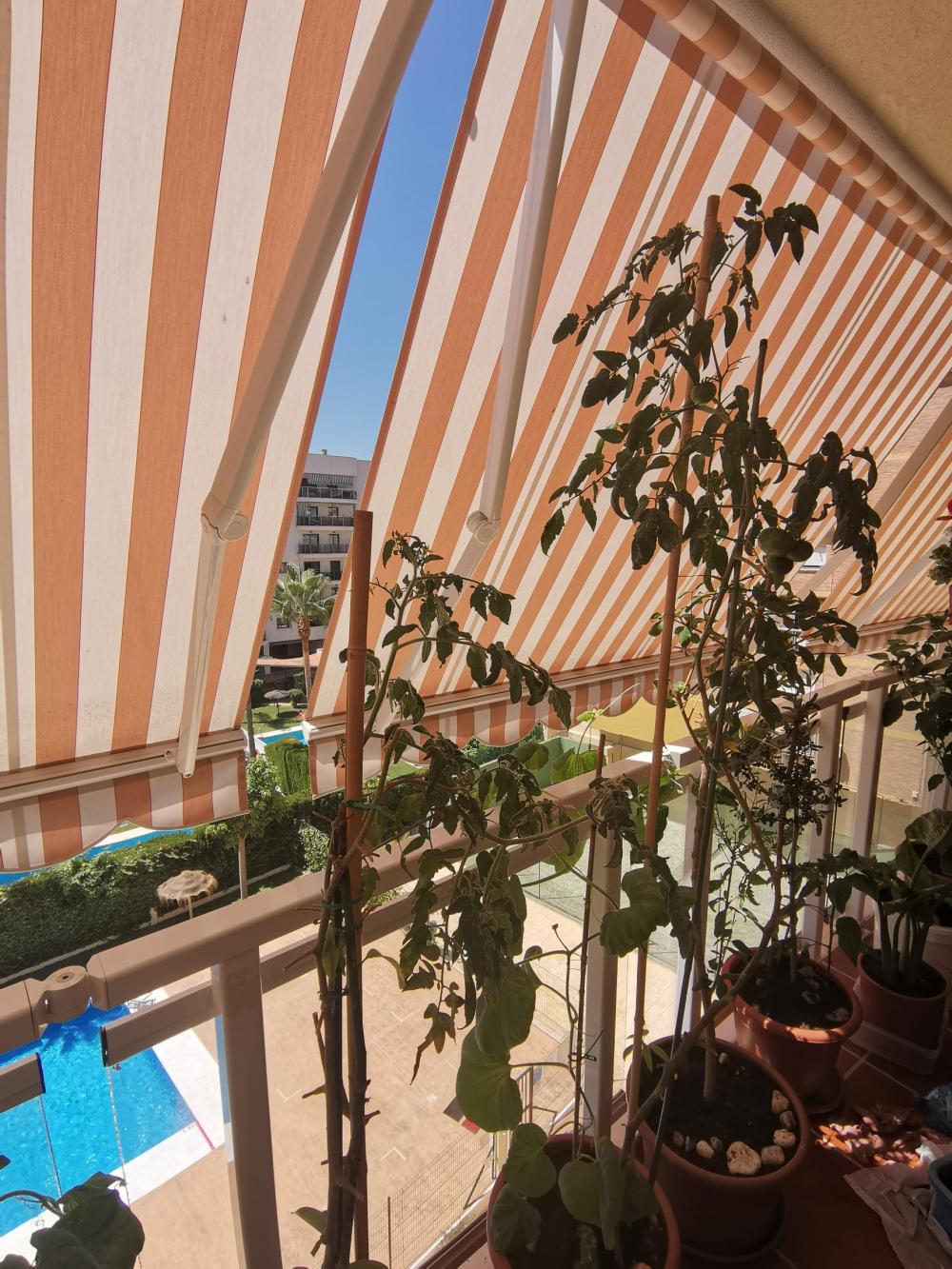  en venta apartamento Carretera De Málaga Málaga-Costa Del Sol 17