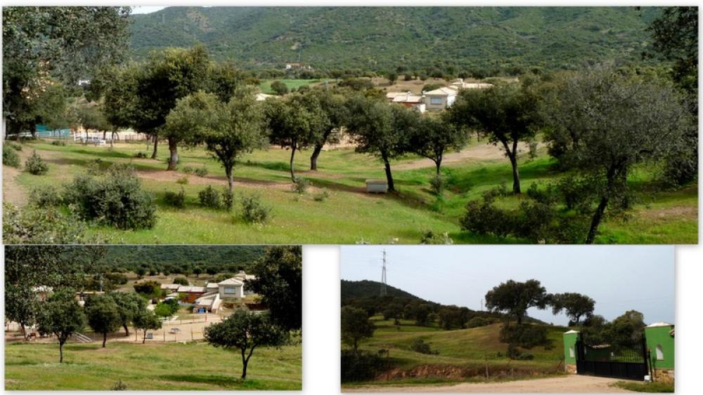  en venta finca rústica Espiel Valle Del Guadiato 7