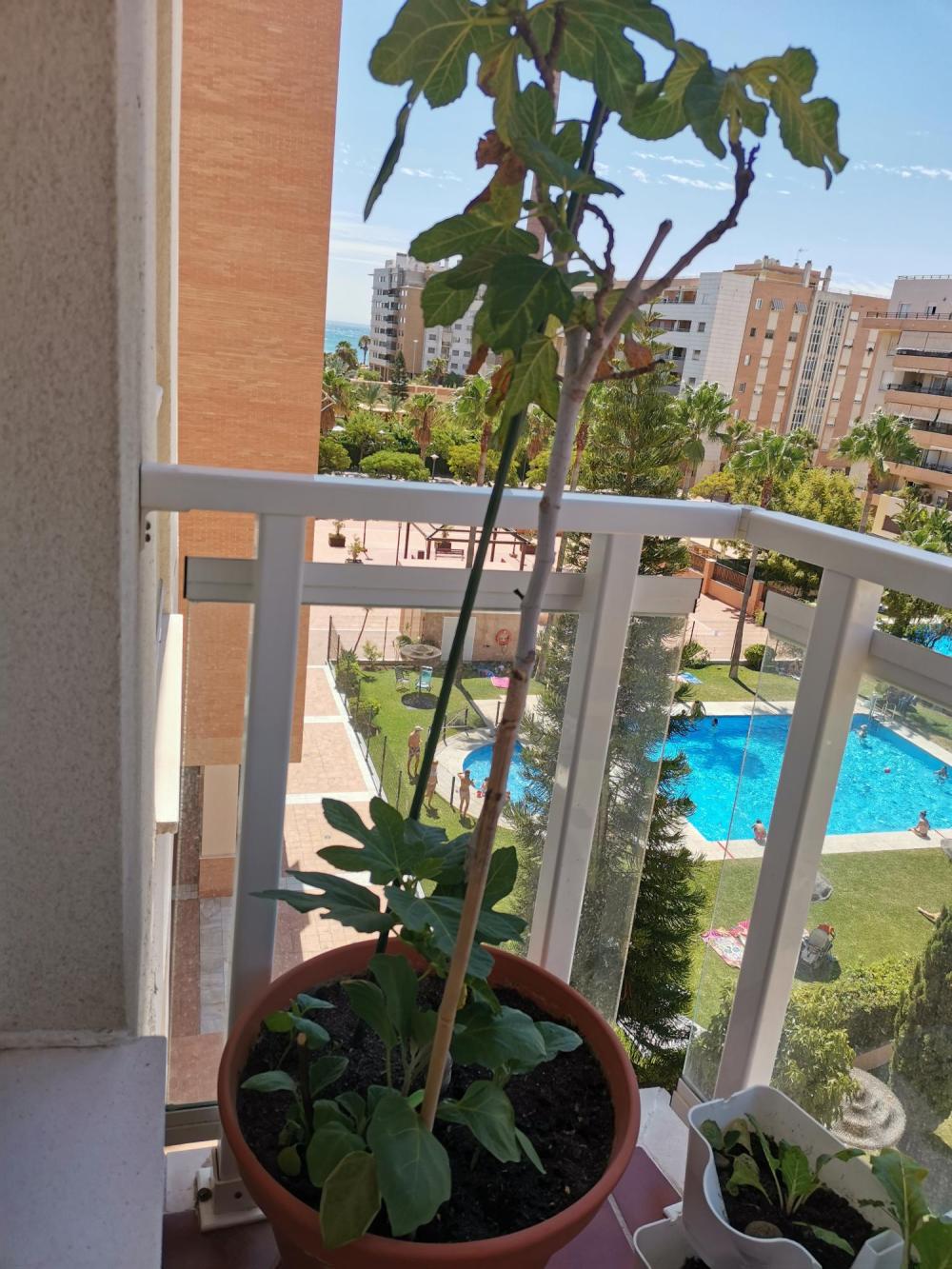  en venta apartamento Carretera De Málaga Málaga-Costa Del Sol 18