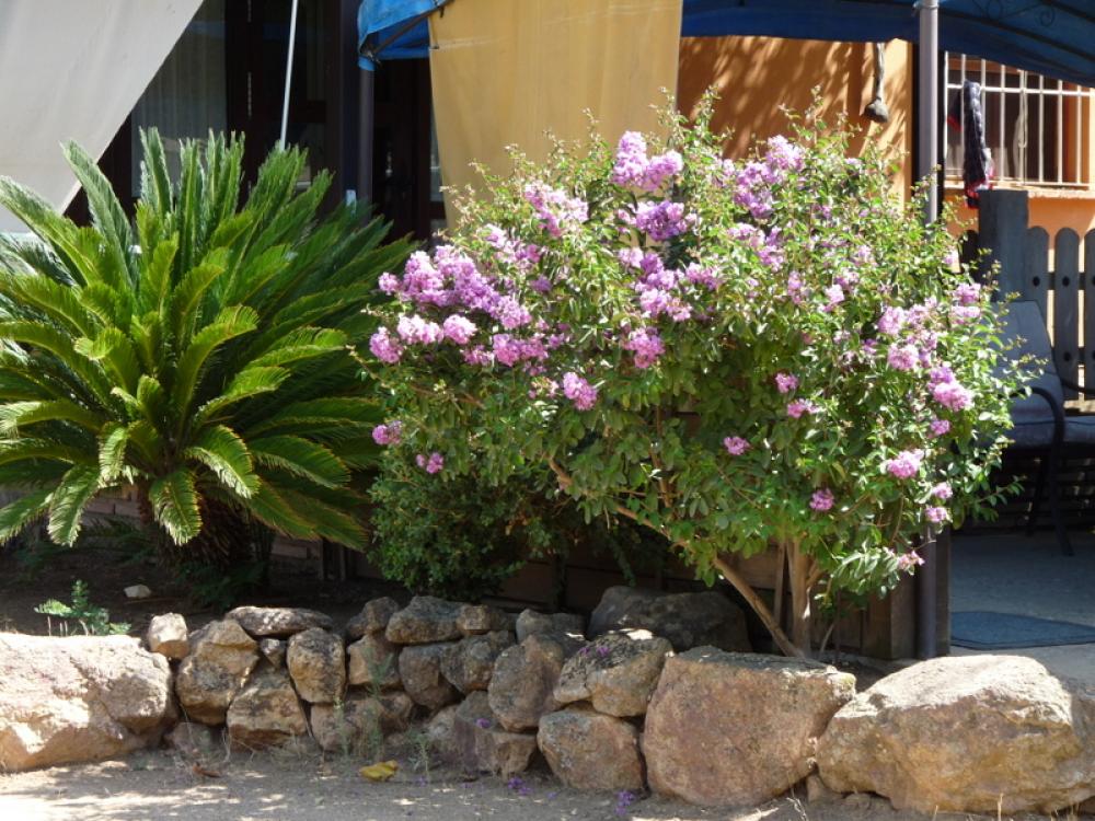  en venta finca rústica Espiel Valle Del Guadiato 8