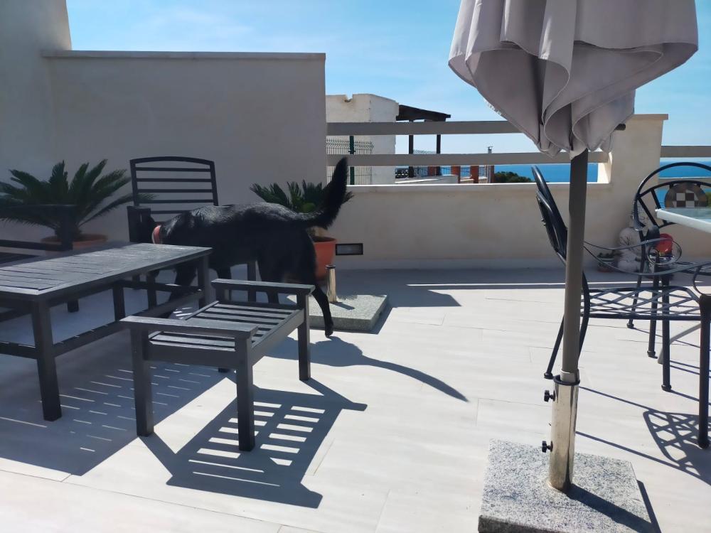  en venta chalet Isla Plana Campo De Cartagena 9