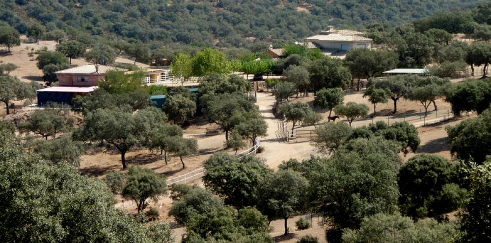  en venta finca rústica Espiel Valle Del Guadiato 4