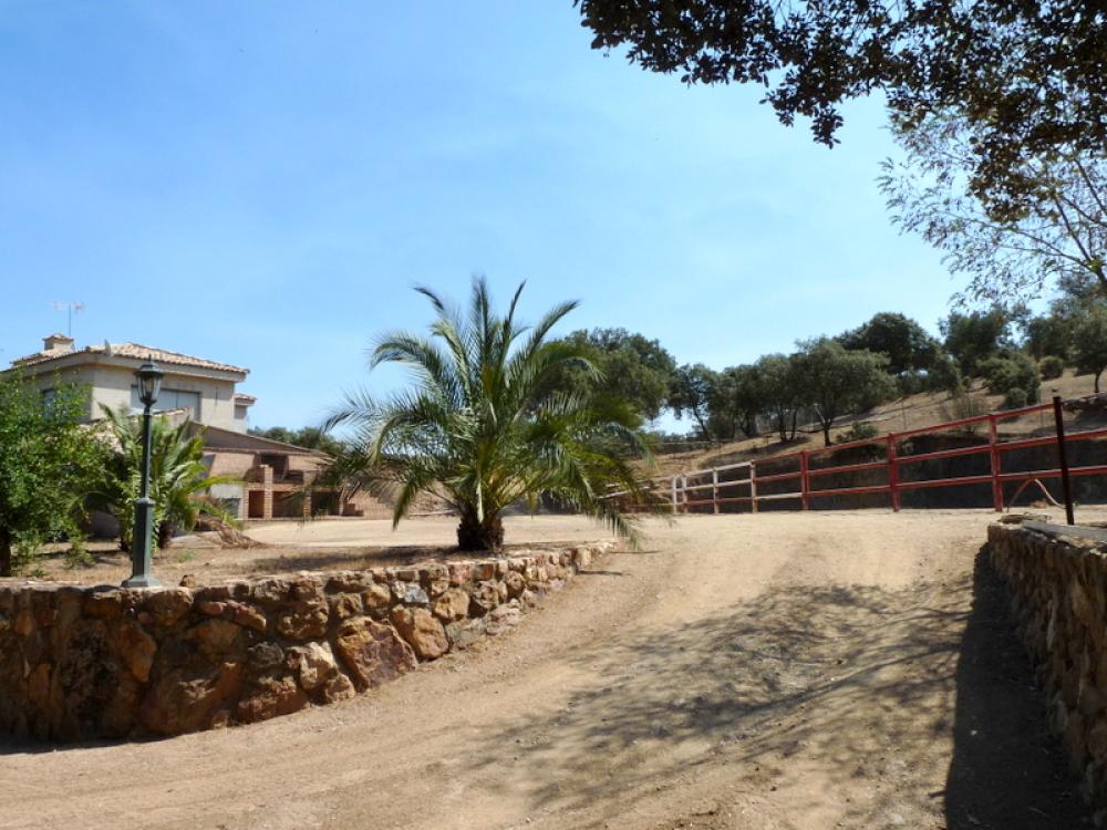  en venta finca rústica Espiel Valle Del Guadiato 5