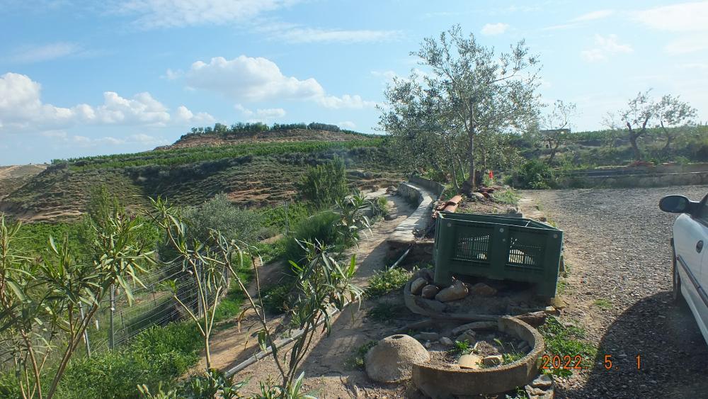  en venta finca rústica Aitona Segrià 15