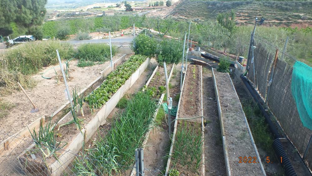  en venta finca rústica Aitona Segrià 4