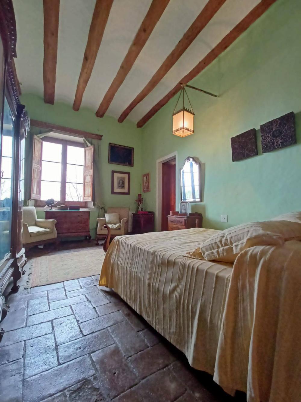  en venta finca rústica Sant Andreu De La Barca Baix Llobregat 17