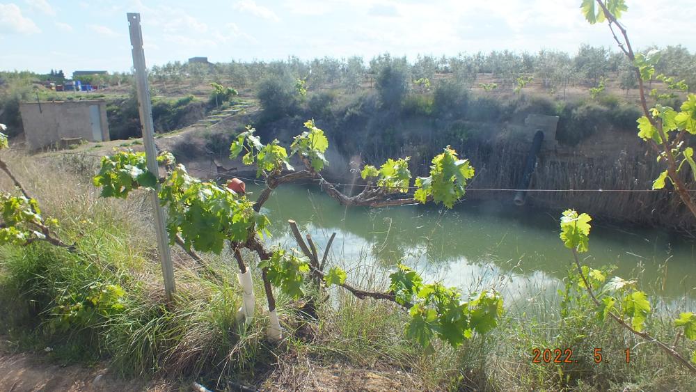  en venta finca rústica Aitona Segrià 6