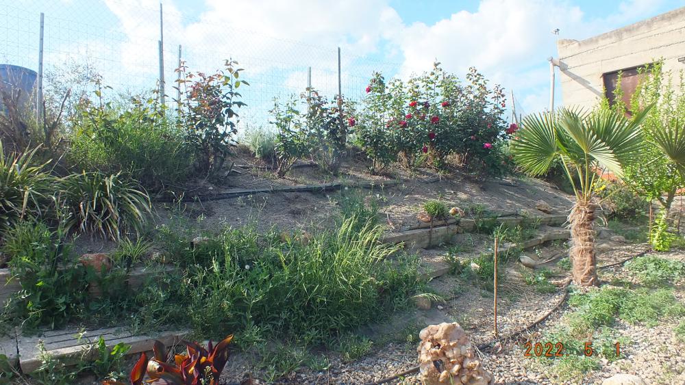  en venta finca rústica Aitona Segrià 10