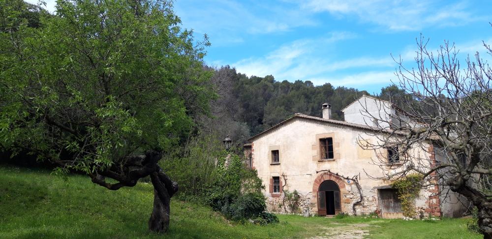  en venta finca rústica Sant Andreu De La Barca Baix Llobregat 3