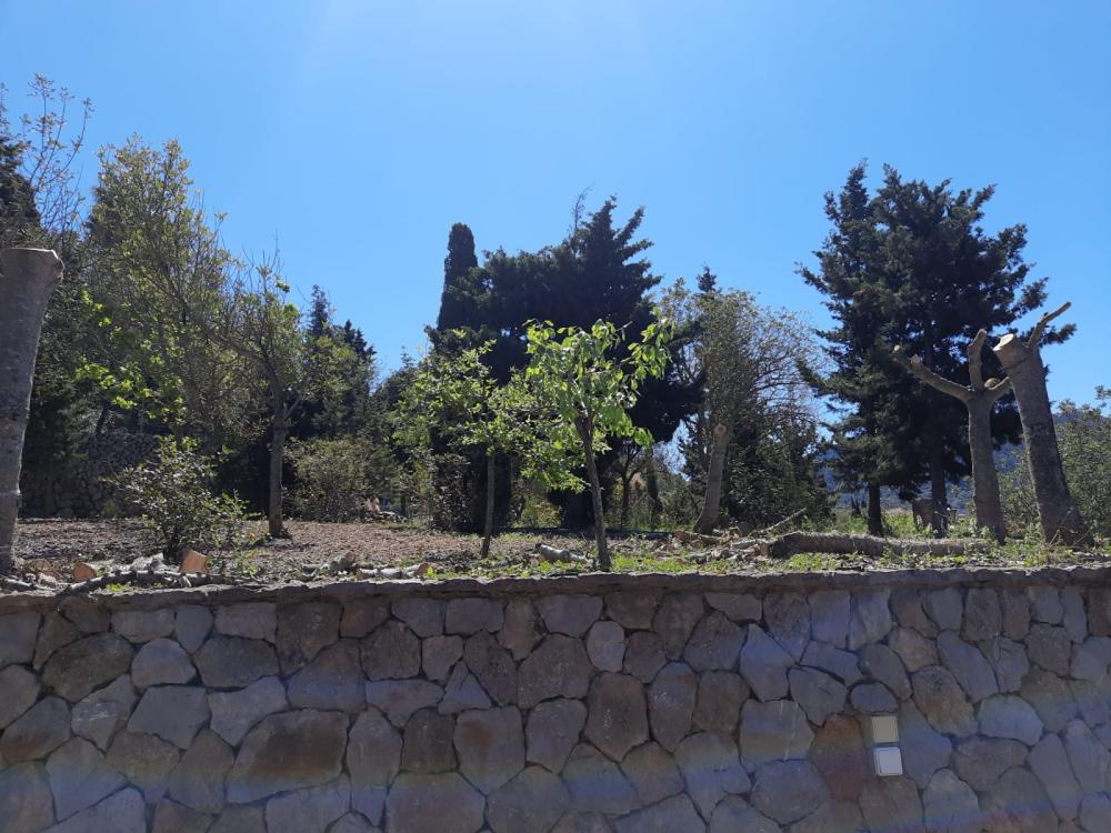  en venta terreno Esporles Tramuntana 1
