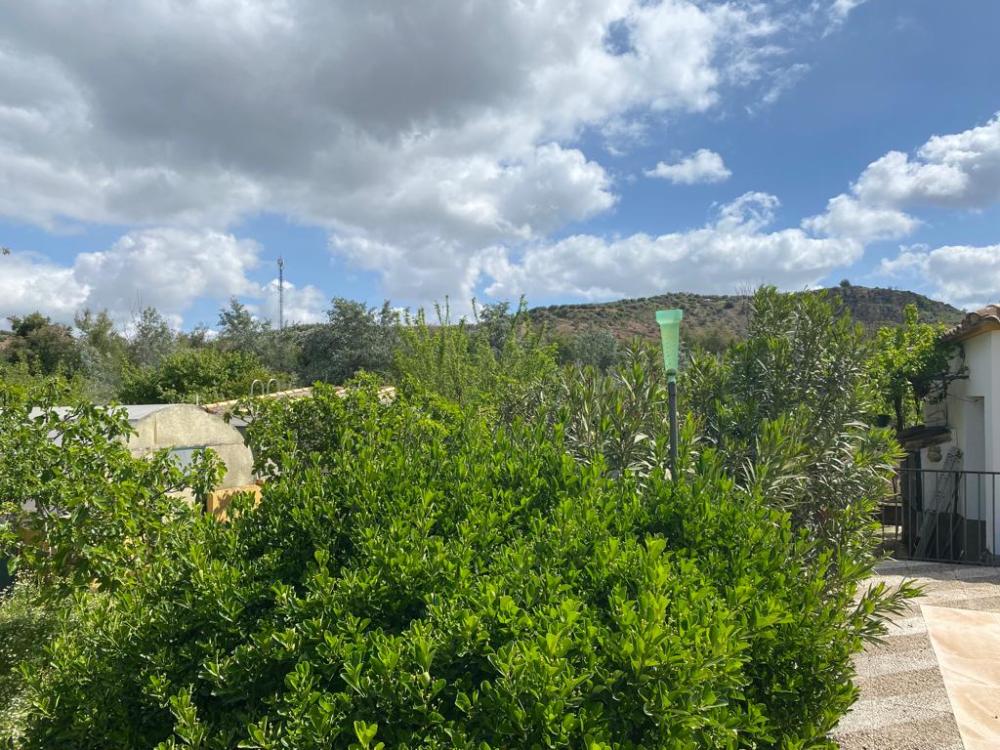  en venta chalet Baena Campiña De Baena 38