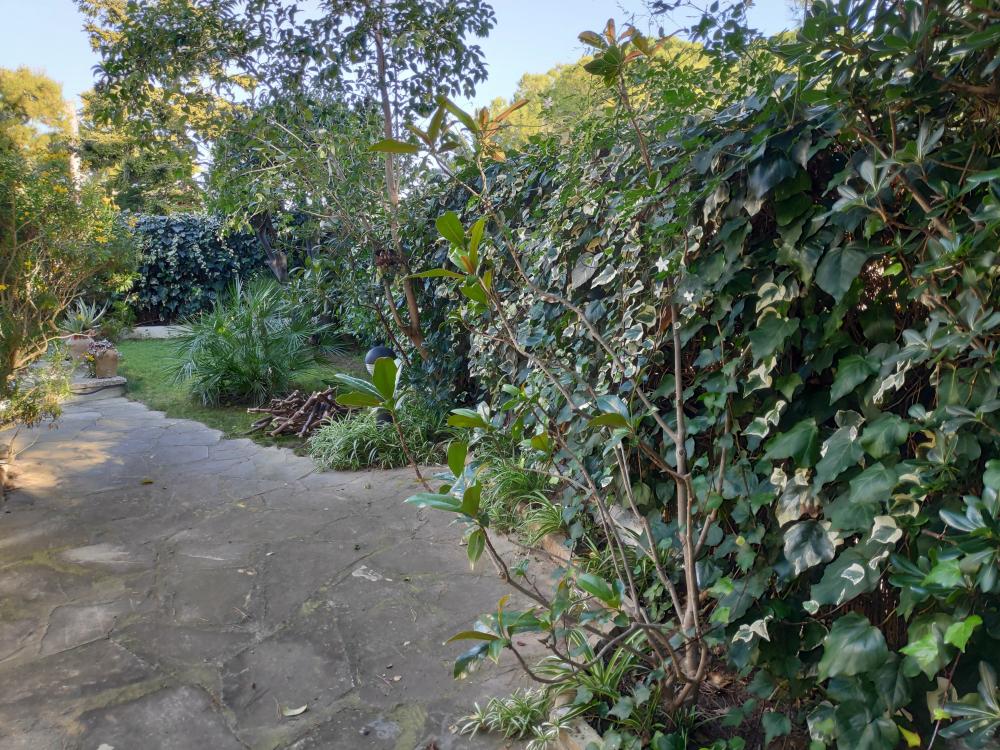  en venta chalet Barri Maritim De Comarruga Baix Penedès 16