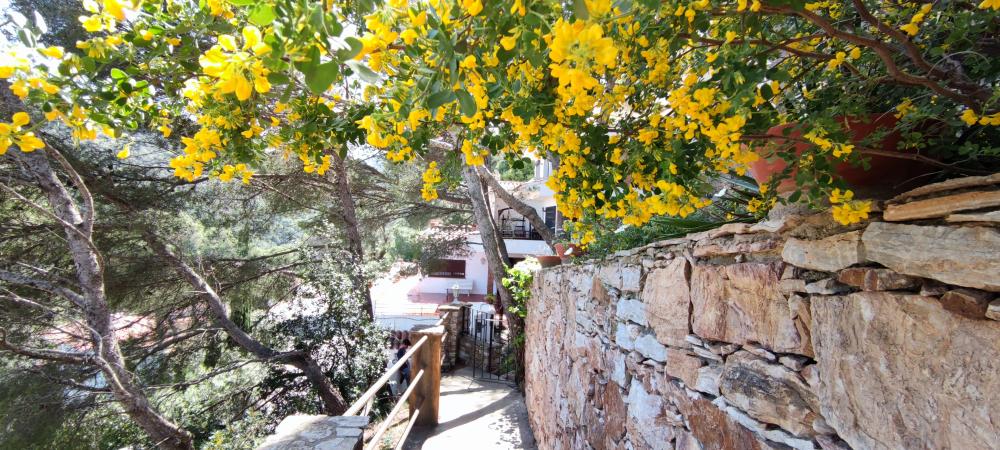  en venta casa Begur Baix Empordà 5