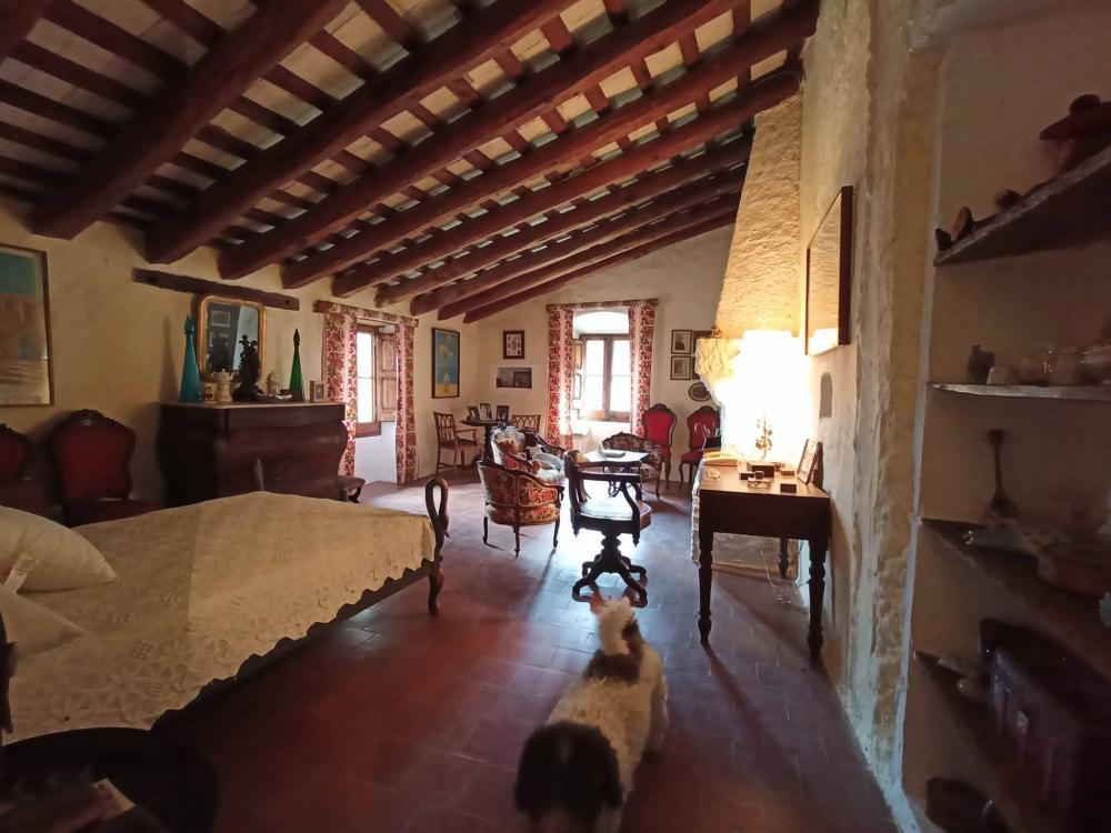 en venta finca rústica Sant Andreu De La Barca Baix Llobregat 14