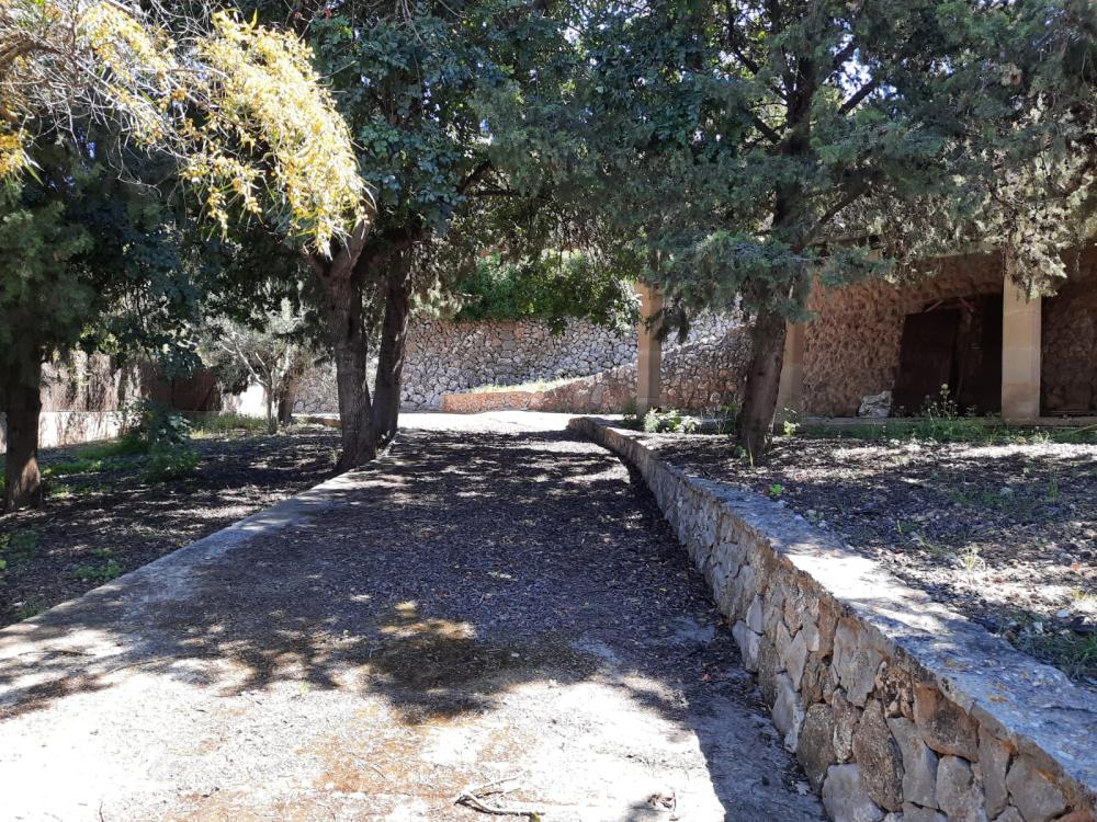  en venta terreno Esporles Tramuntana 3