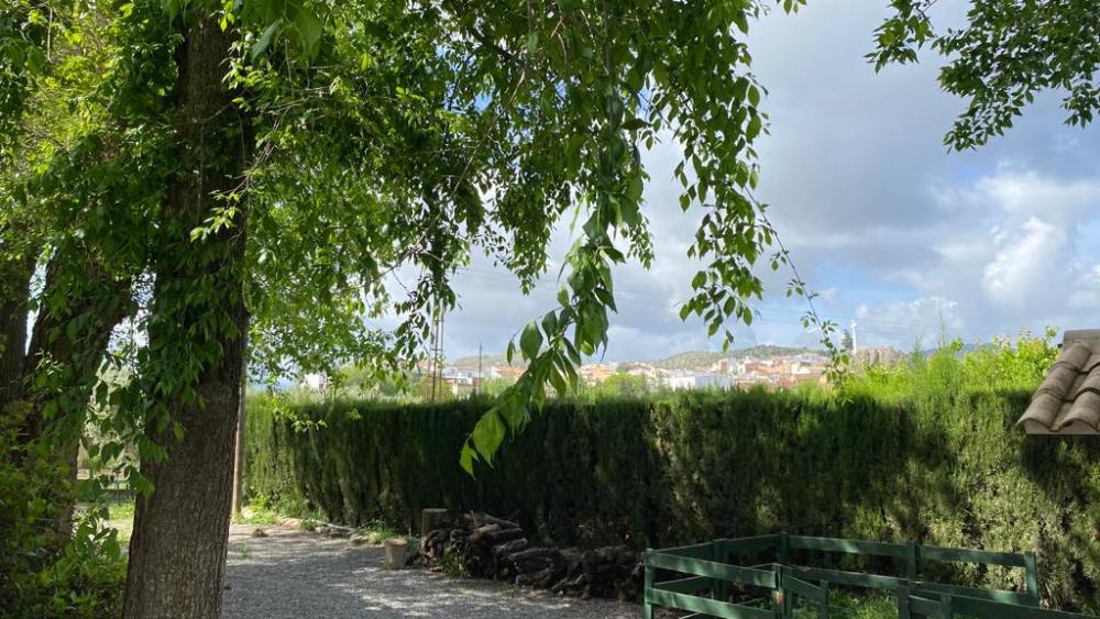  en venta chalet Baena Campiña De Baena 14