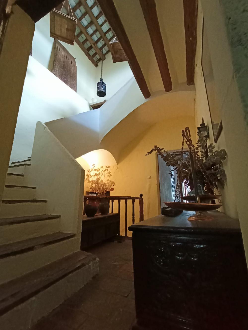  en venta finca rústica Sant Andreu De La Barca Baix Llobregat 10