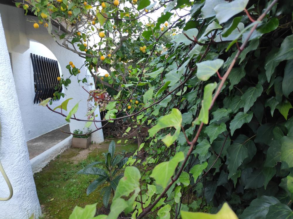  en venta chalet Barri Maritim De Comarruga Baix Penedès 17