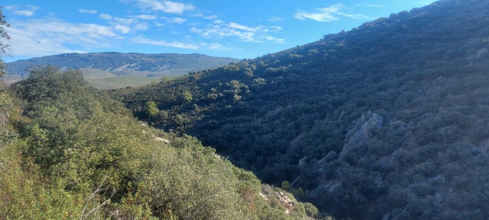  en venta dúplex Los Navalucillos Jara (La) 20