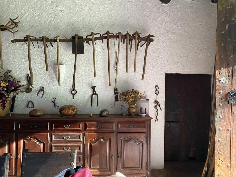  en venta finca rústica Sant Andreu De La Barca Baix Llobregat 8
