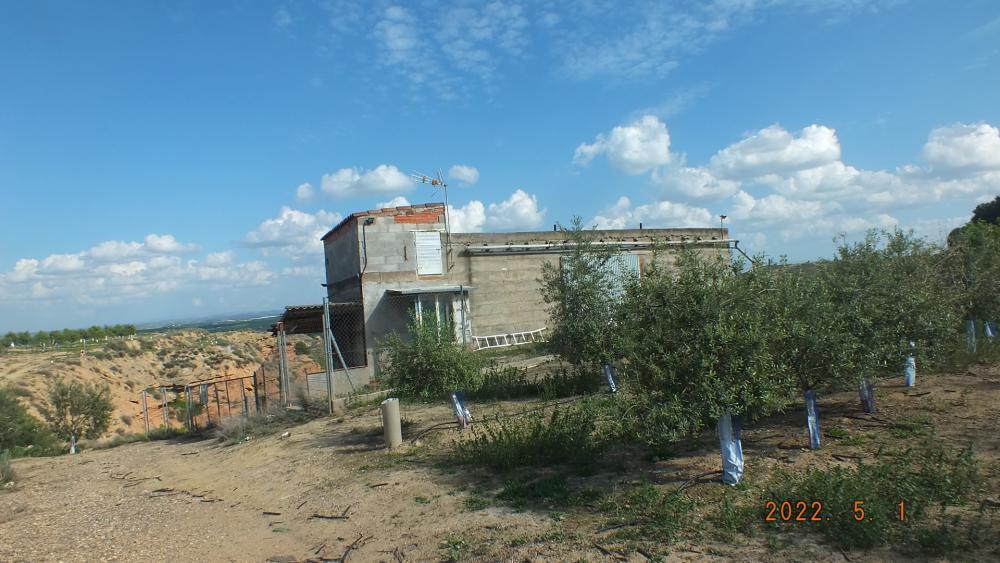  en venta finca rústica Aitona Segrià 18