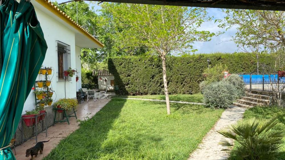  en venta chalet Baena Campiña De Baena 11