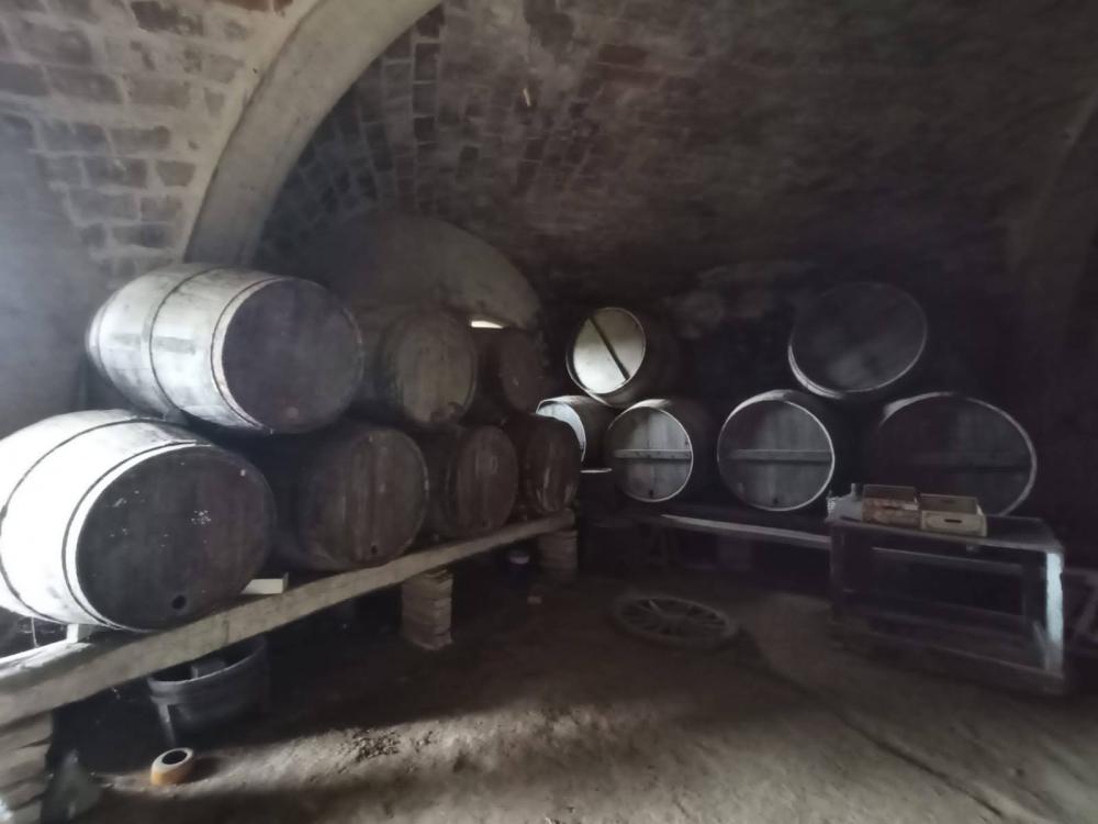  en venta finca rústica Sant Andreu De La Barca Baix Llobregat 11