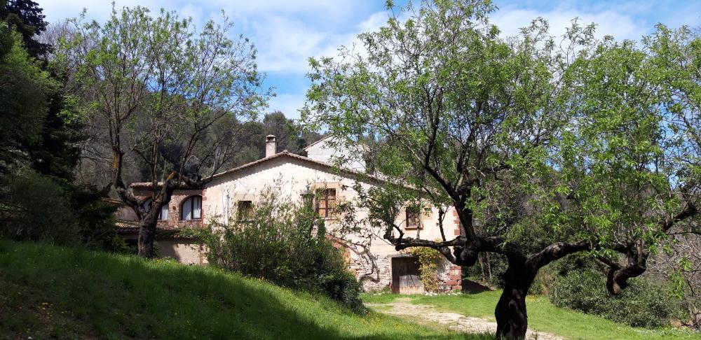  en venta finca rústica Sant Andreu De La Barca Baix Llobregat 4