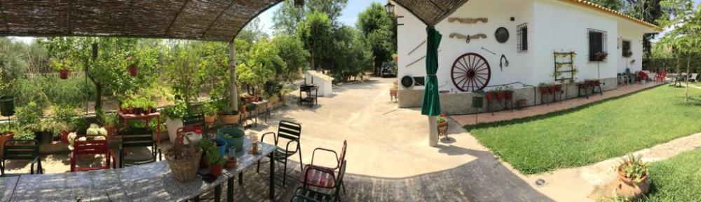  en venta chalet Baena Campiña De Baena 2