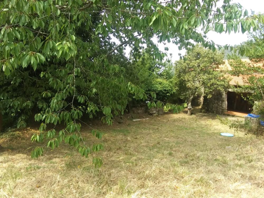  en venta finca rústica Pena Betanzos 63