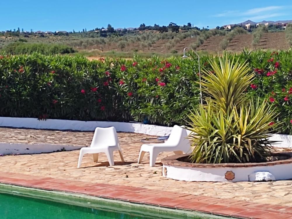  en venta hotel Ronda Serranía De Ronda 26