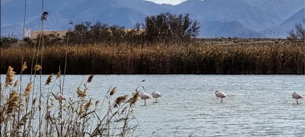  en venta terreno Cabo De Gata Comarca Metropolitana De Almería 2