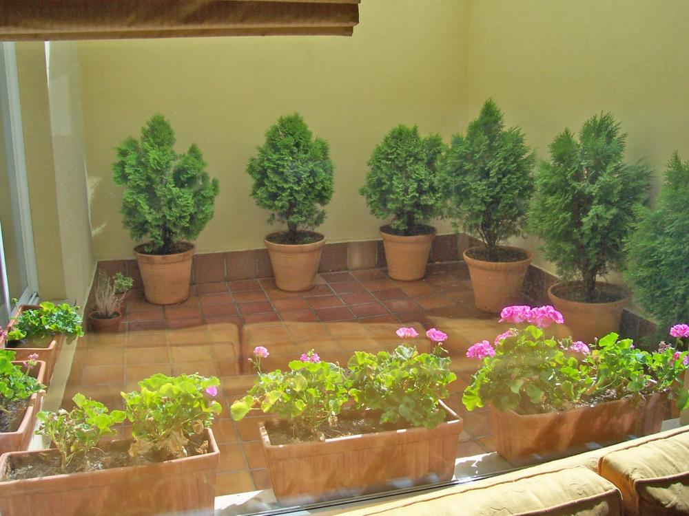  en venta casa Salamanca Centro 37001 Campo De Salamanca 25