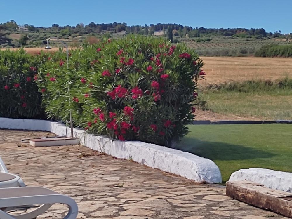  en venta hotel Ronda Serranía De Ronda 33