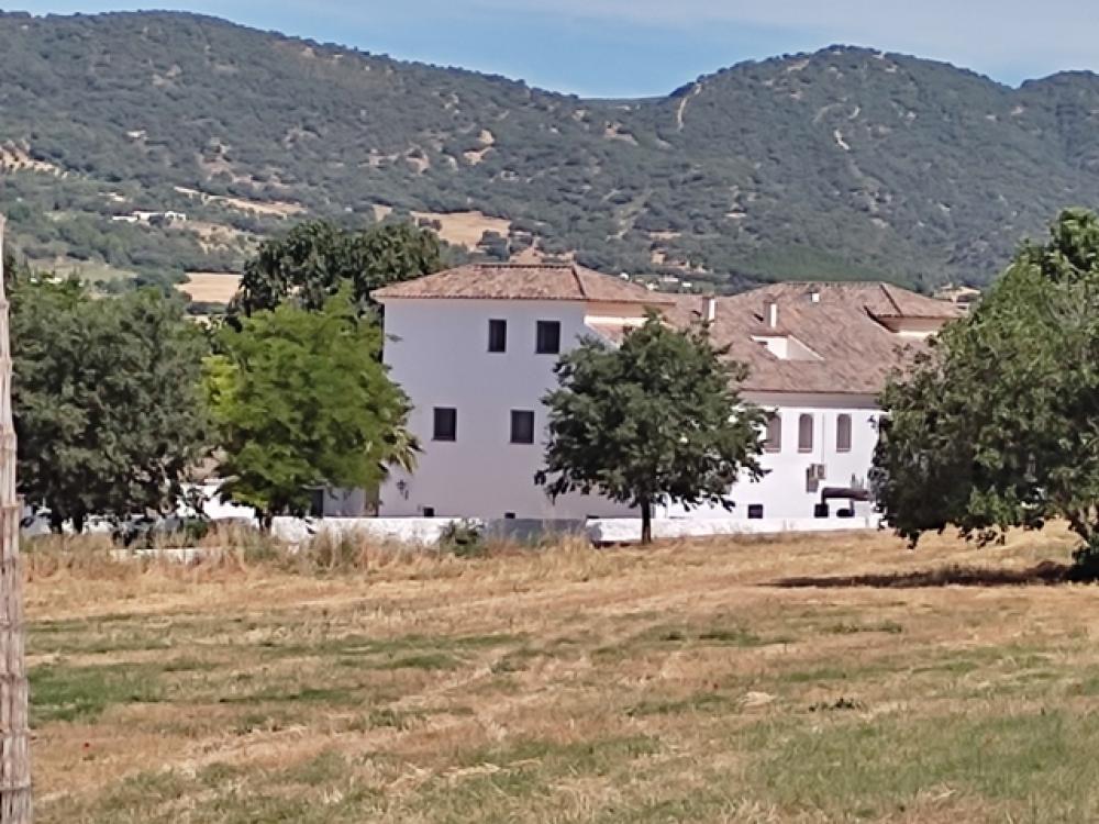  en venta hotel Ronda Serranía De Ronda 29