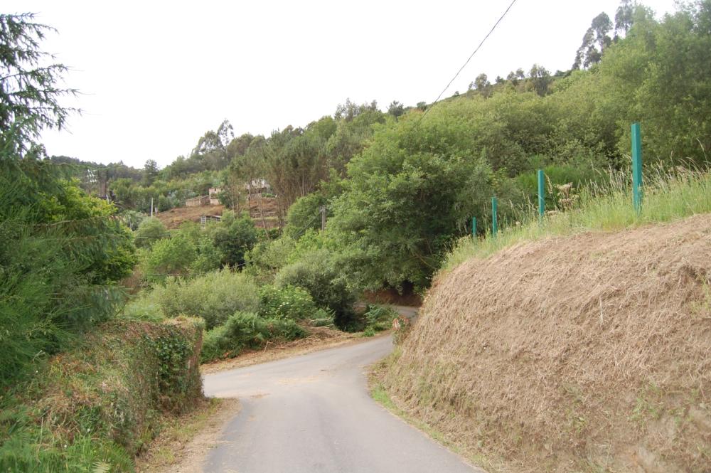  en venta finca rústica Pena Betanzos 6