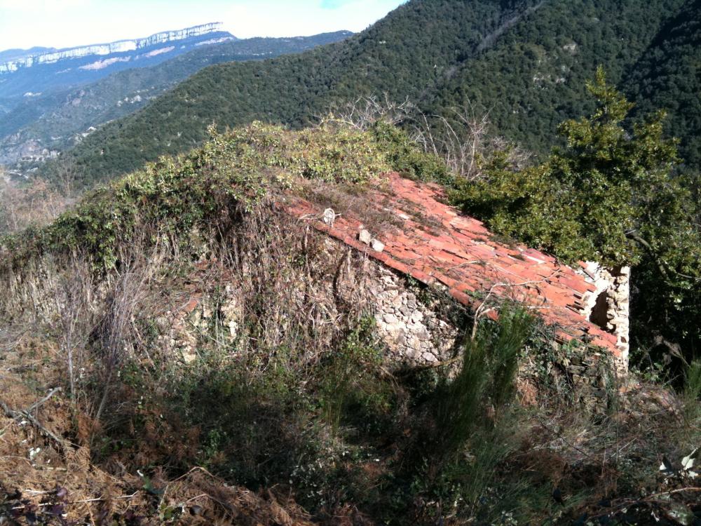  en venta finca rústica Susqueda Selva 4