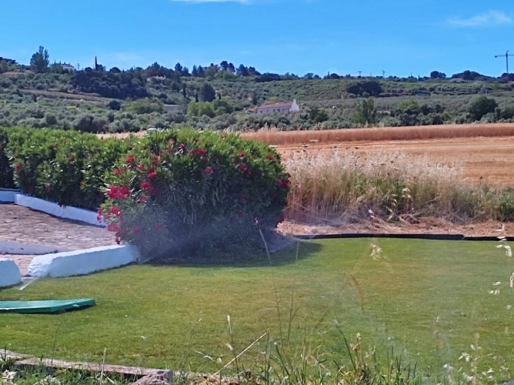  en venta hotel Ronda Serranía De Ronda 34