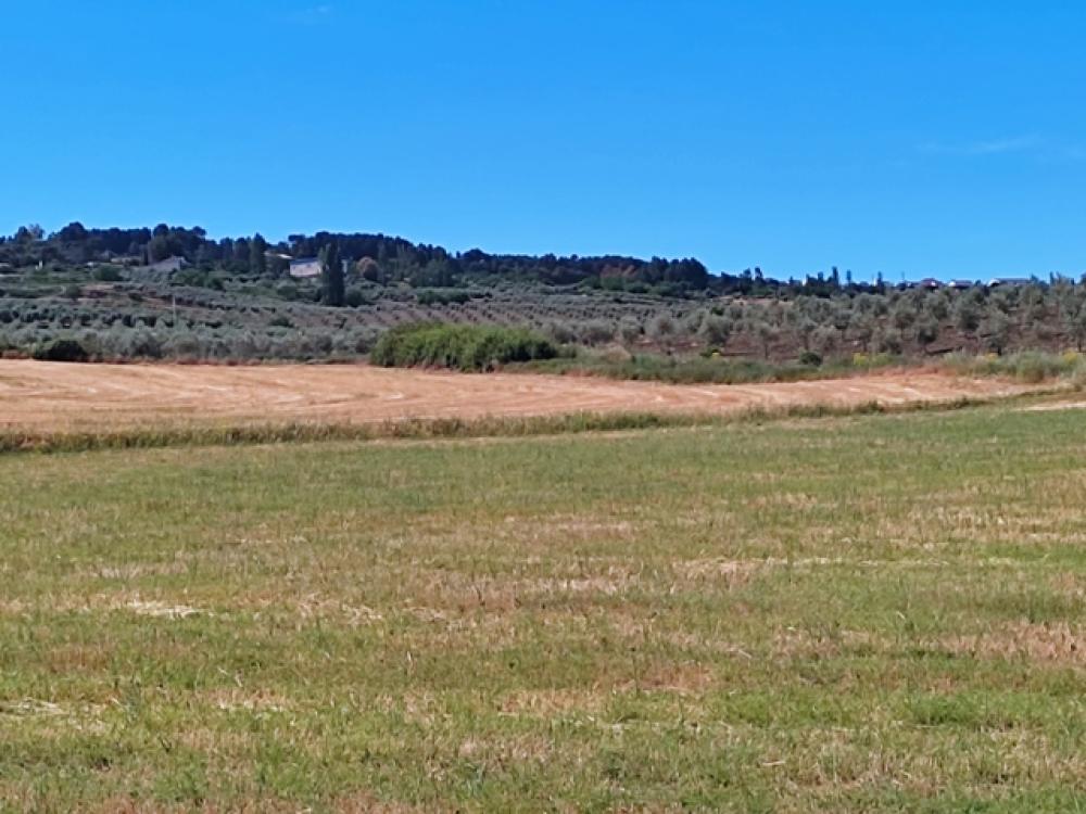  en venta hotel Ronda Serranía De Ronda 35