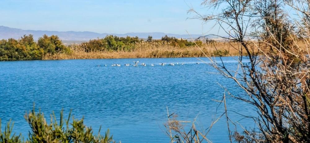  en venta terreno Cabo De Gata Comarca Metropolitana De Almería 7