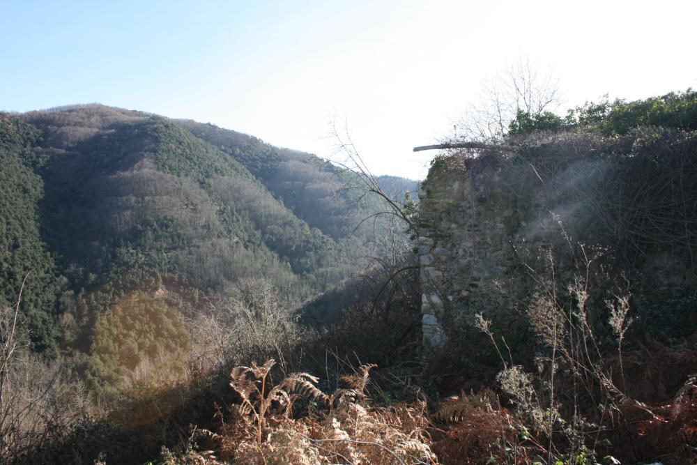  en venta finca rústica Susqueda Selva 5