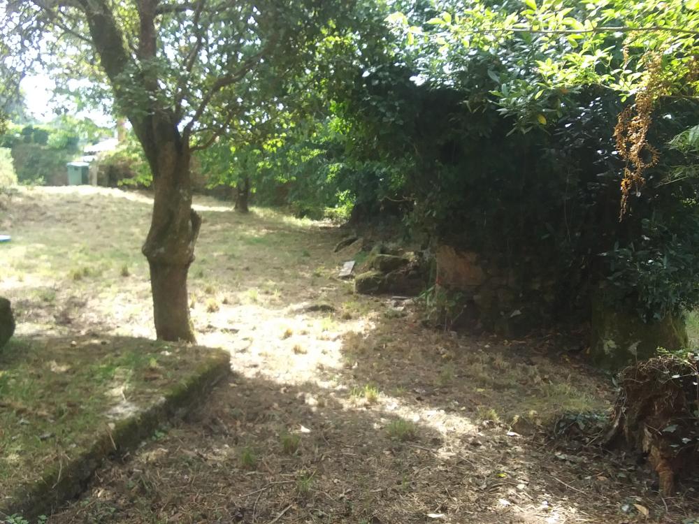  en venta finca rústica Pena Betanzos 65