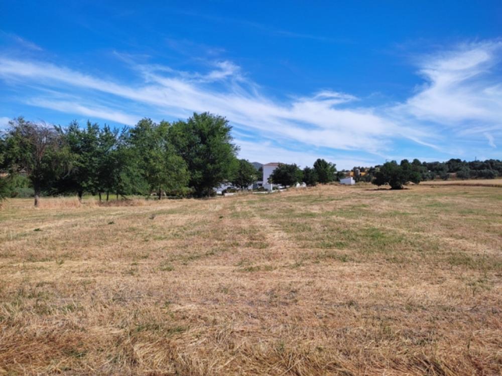  en venta hotel Ronda Serranía De Ronda 36