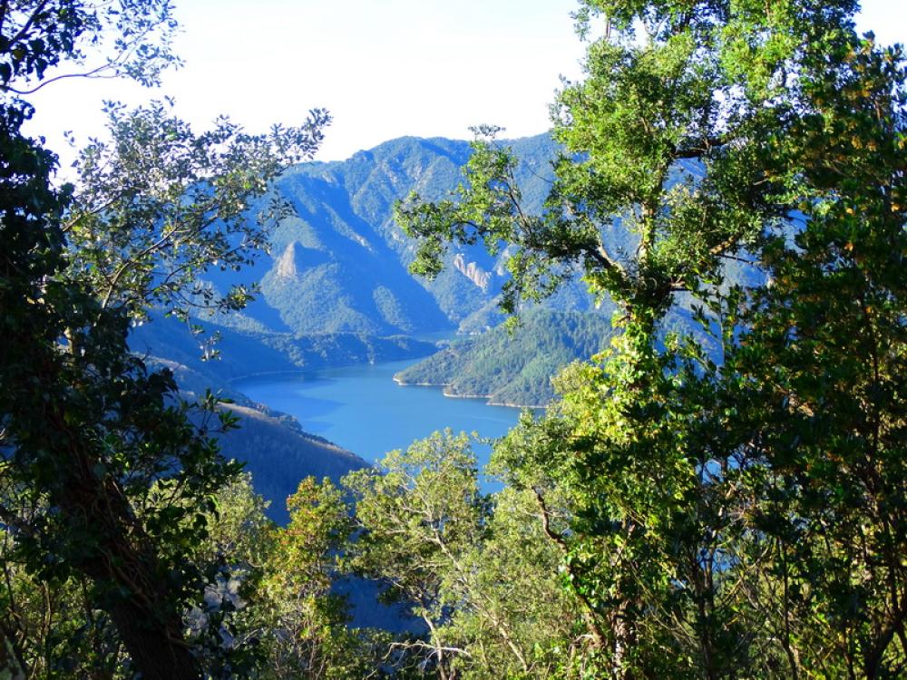  en venta finca rústica Susqueda Selva 9